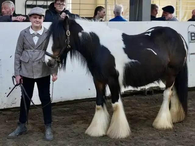 Mad Aggie, left side