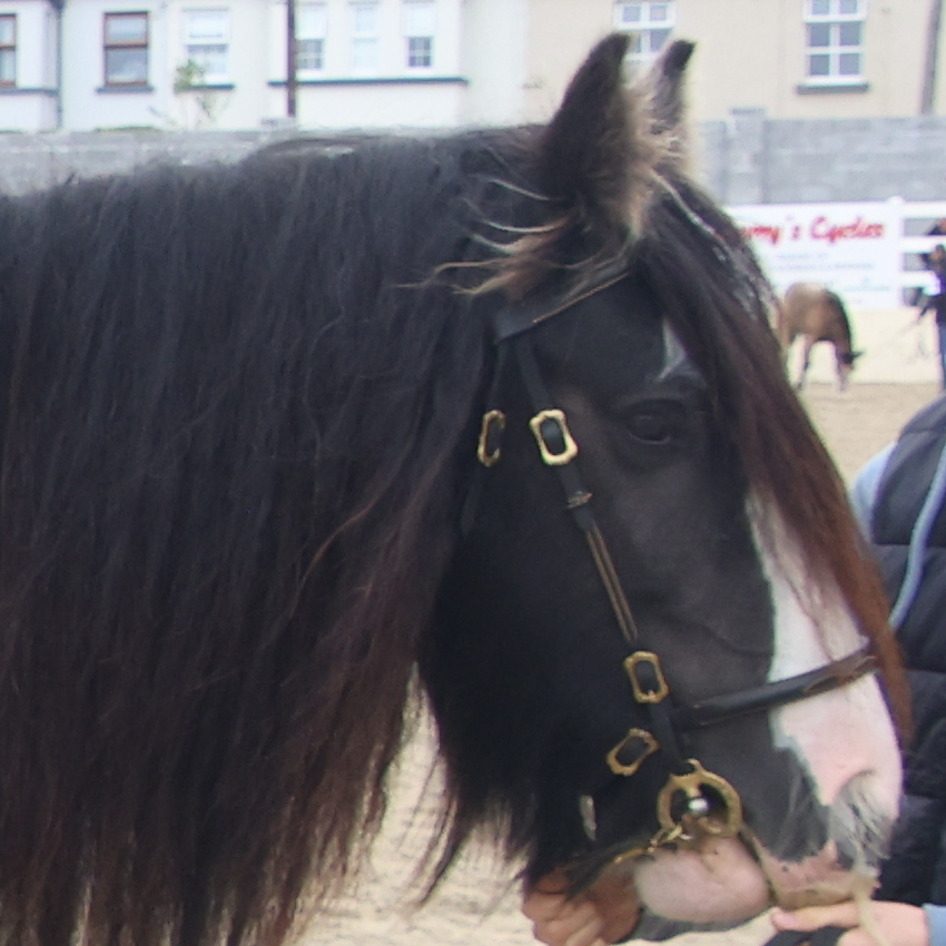 Queenie - Media (Unknown)