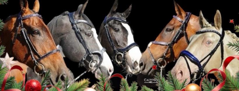 Calypso - Media (669)