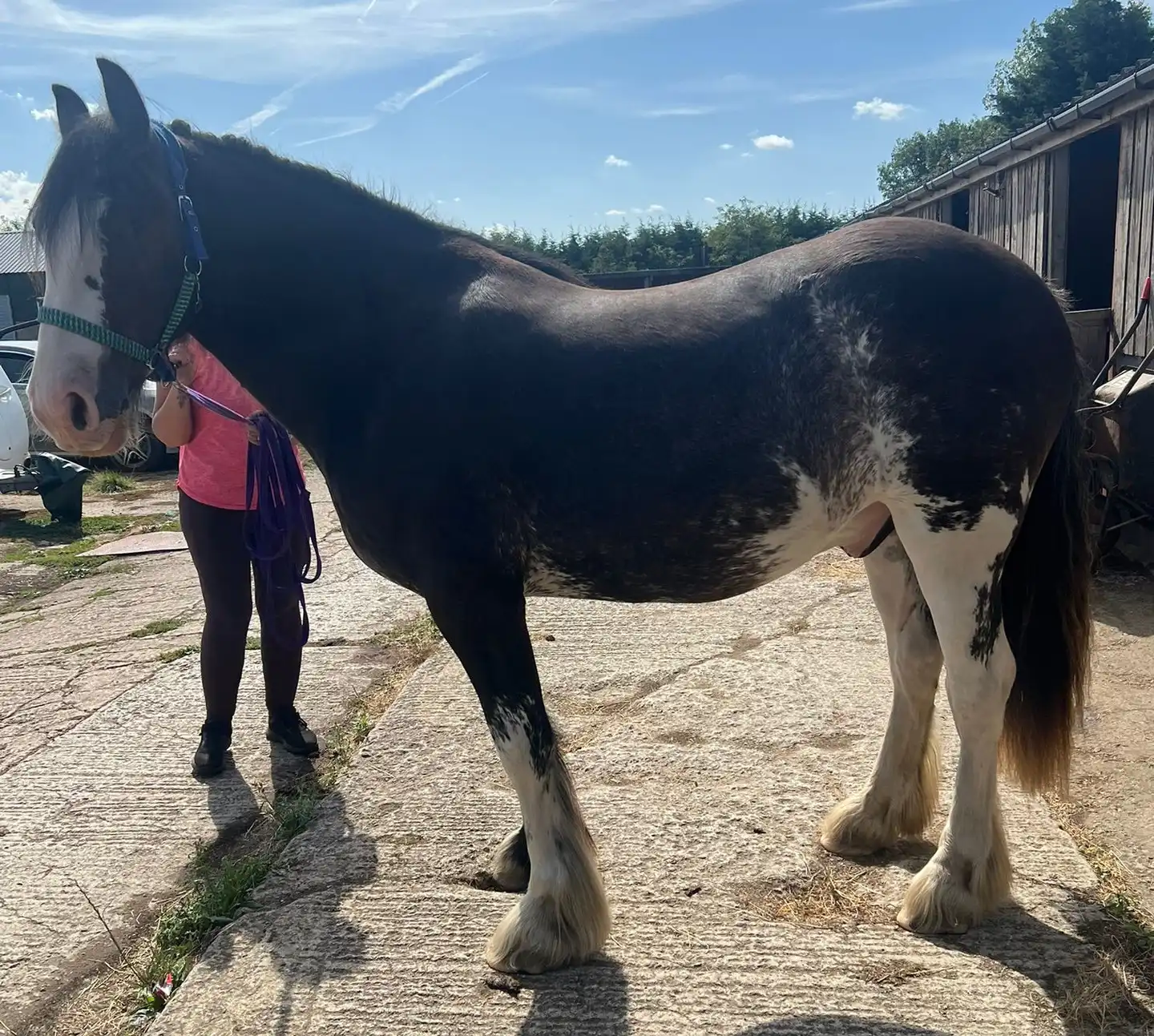 King Sior - Media (Unknown)