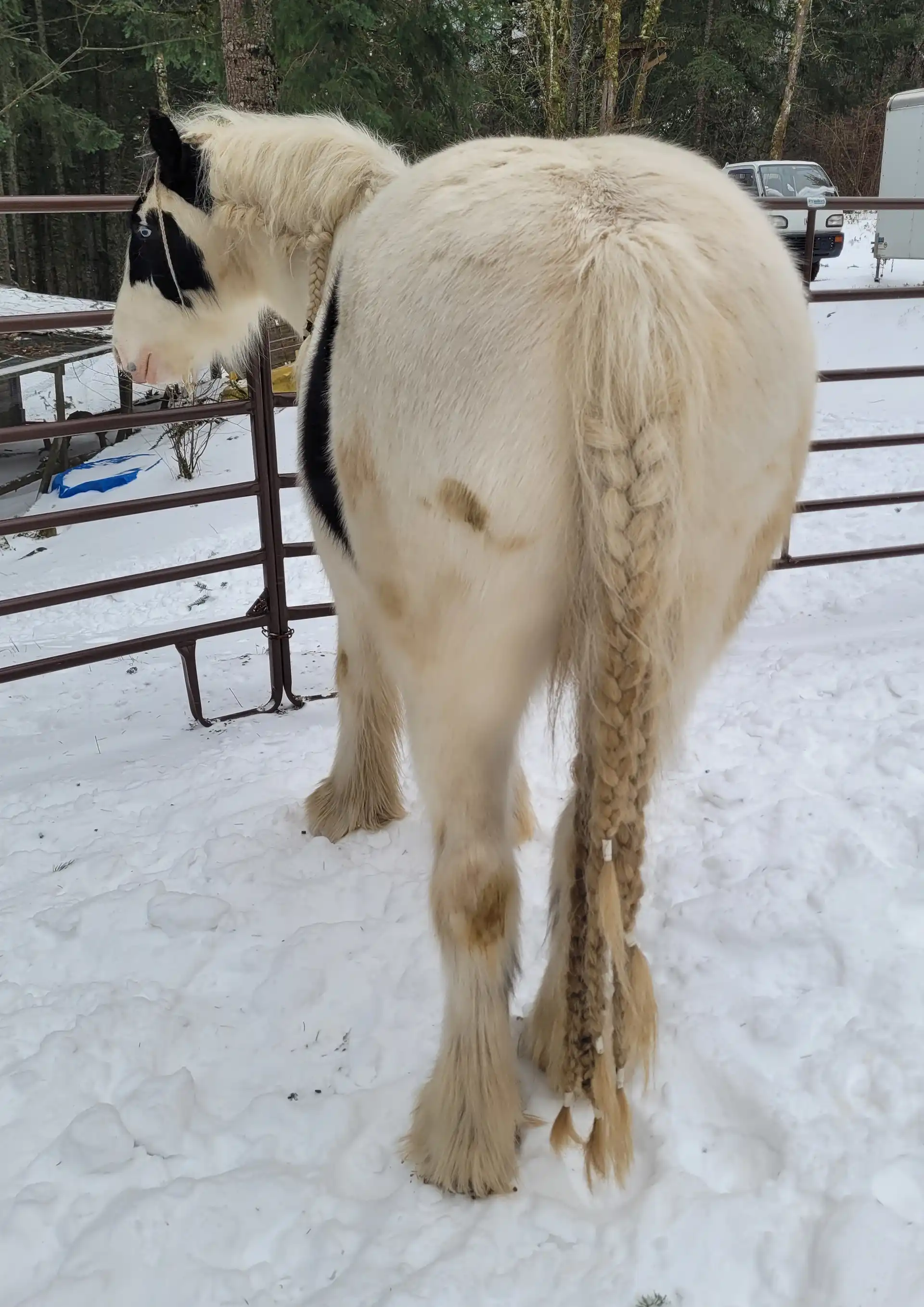 FF Meridas Eternal Evenstar - Media (Unknown)