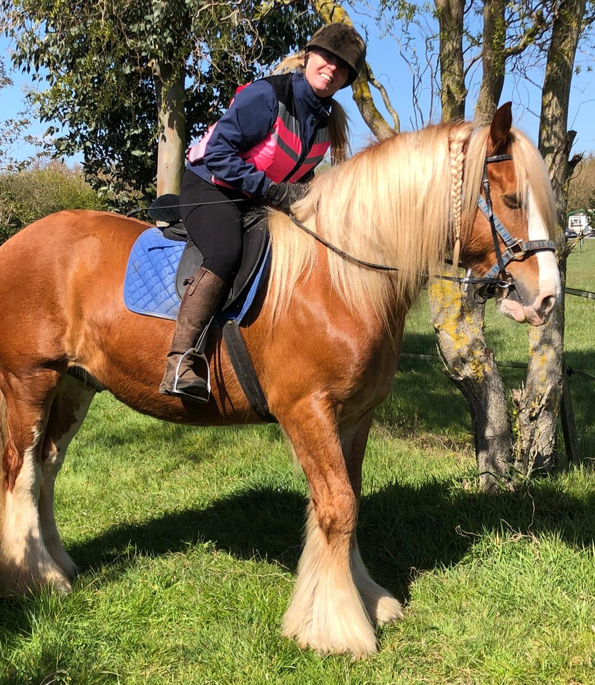 Shannonvalley Red Rover - Media (Unknown)