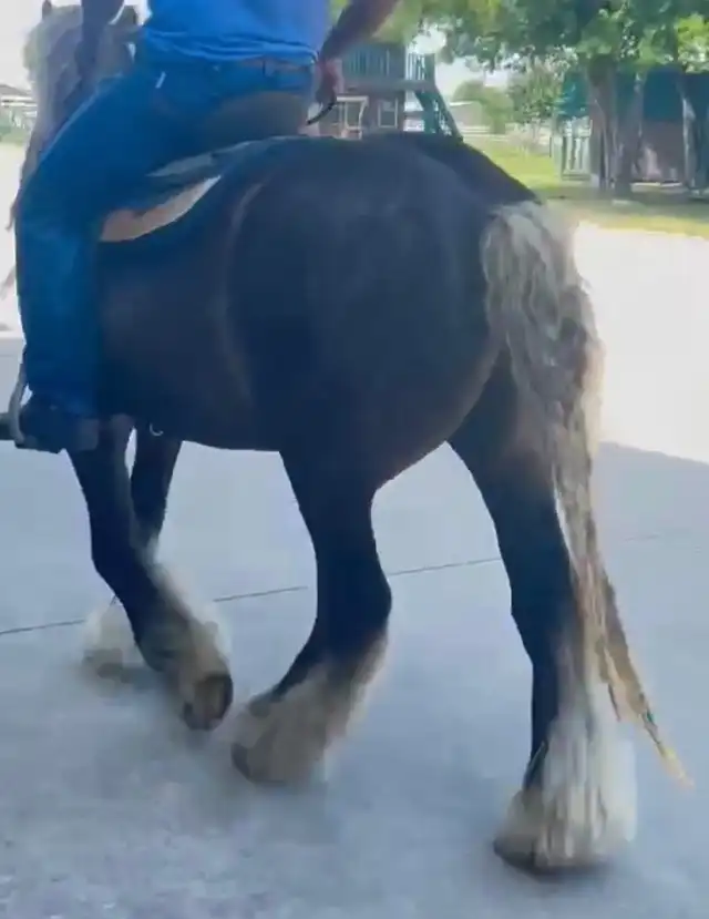 Coco - Media (Unknown)