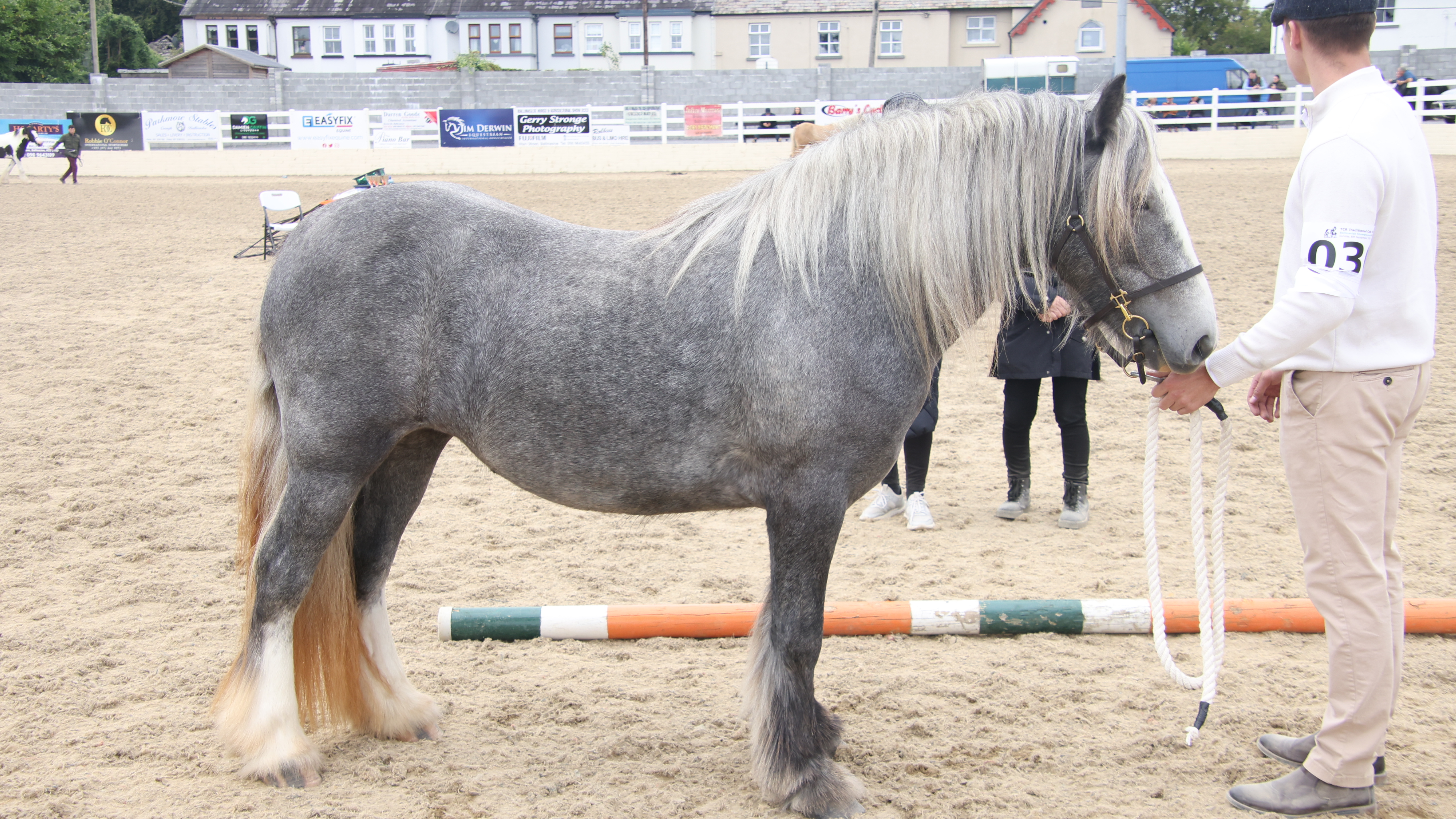 Deane's Shadow - Media (Unknown)