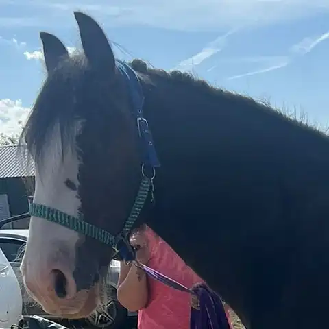 King Sior - Media (Unknown)