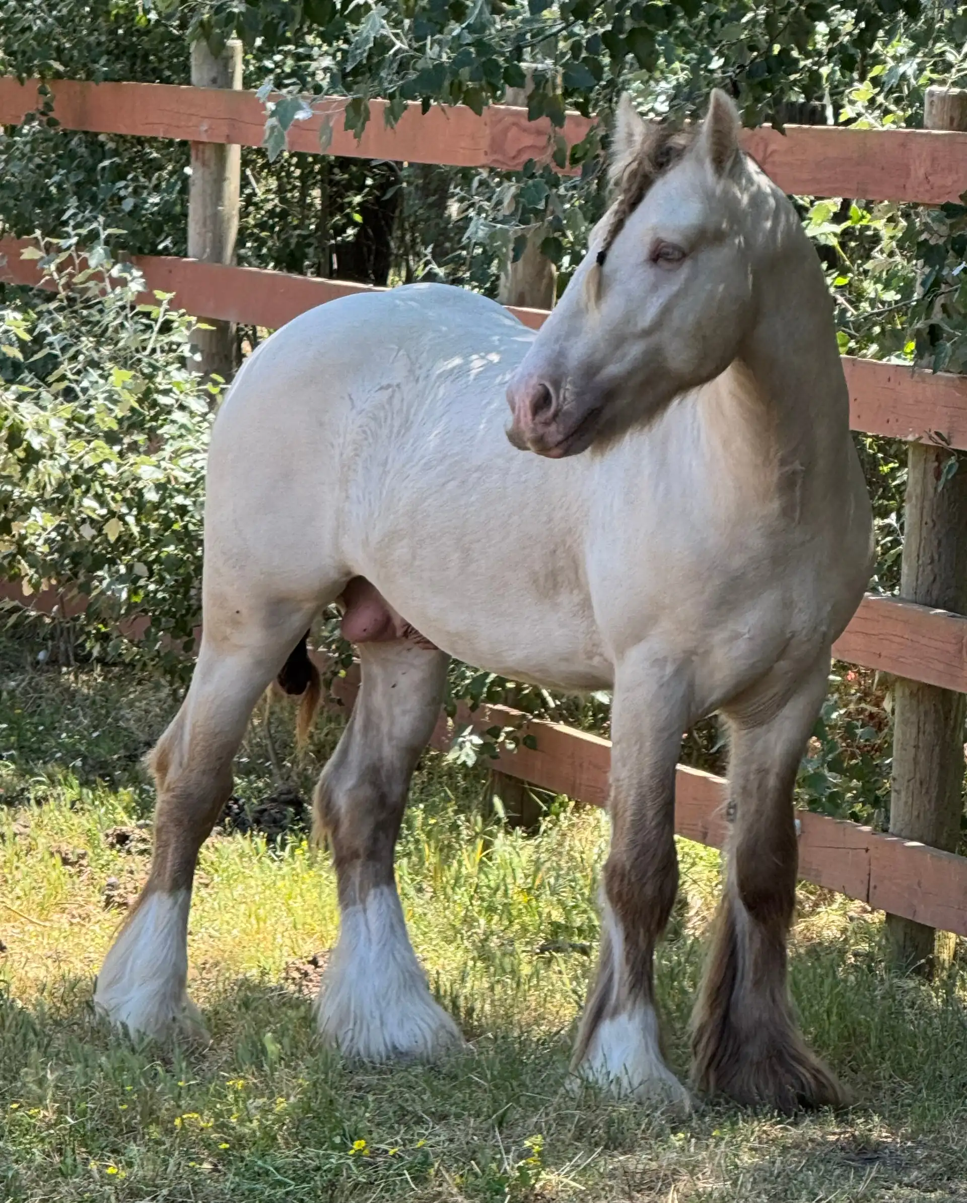 Five Star Million Dollar Jackpot - Media (Unknown)