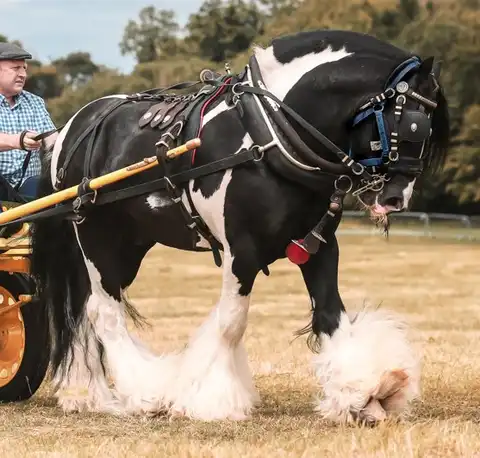 IMG-20250217-WA0004.jpg - Media (2849)