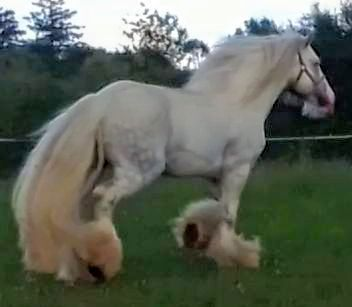 Tìr ná Nōg - Media (Unknown)