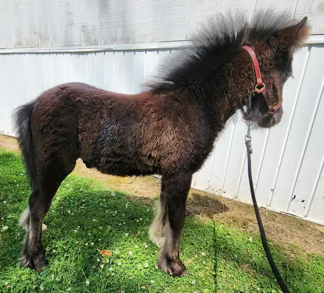 Bex N Snow - Media (Unknown)