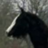 J.Mc Killarney Queen - Media (Unknown)