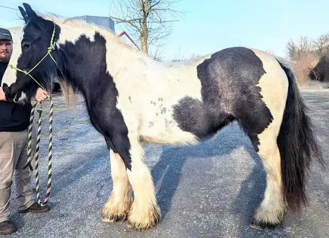 Lena - Media (Unknown)