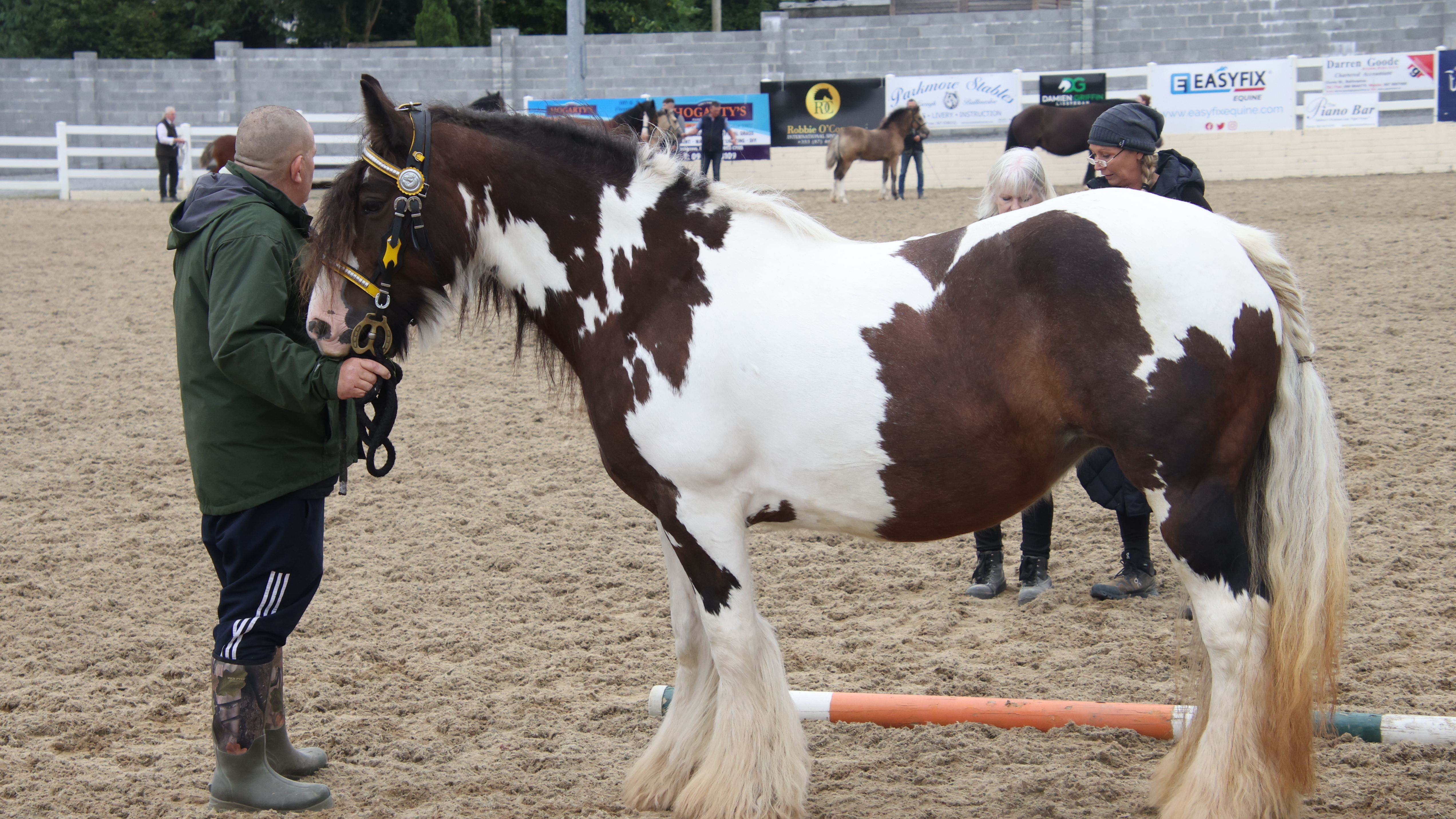 Demi - Media (Unknown)