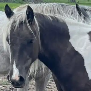 Kandee’s First Baby Girl - Media (Unknown)