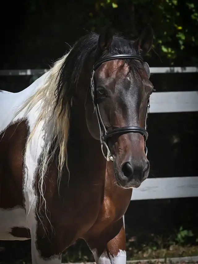 Country Sunset - Media (Unknown)