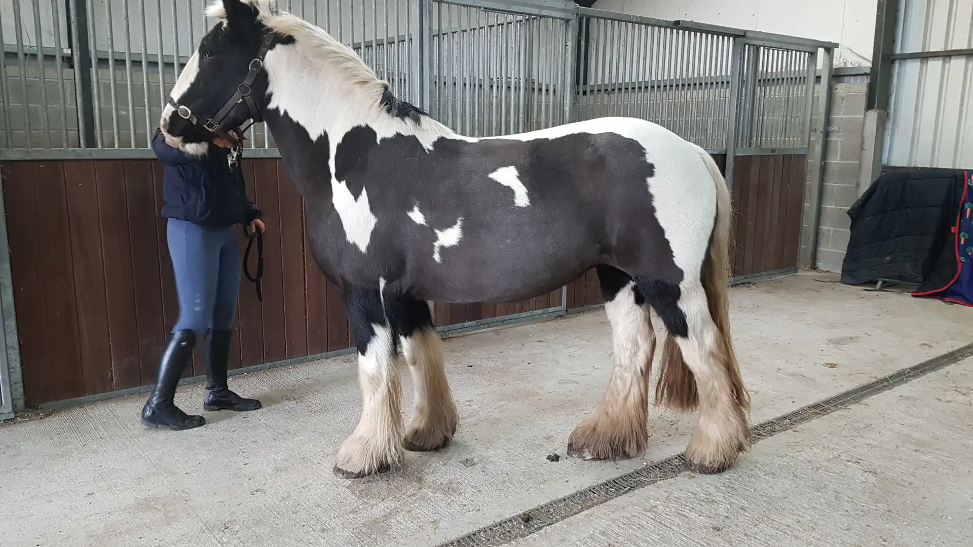 Tanzanite Vintage - Media (Unknown)