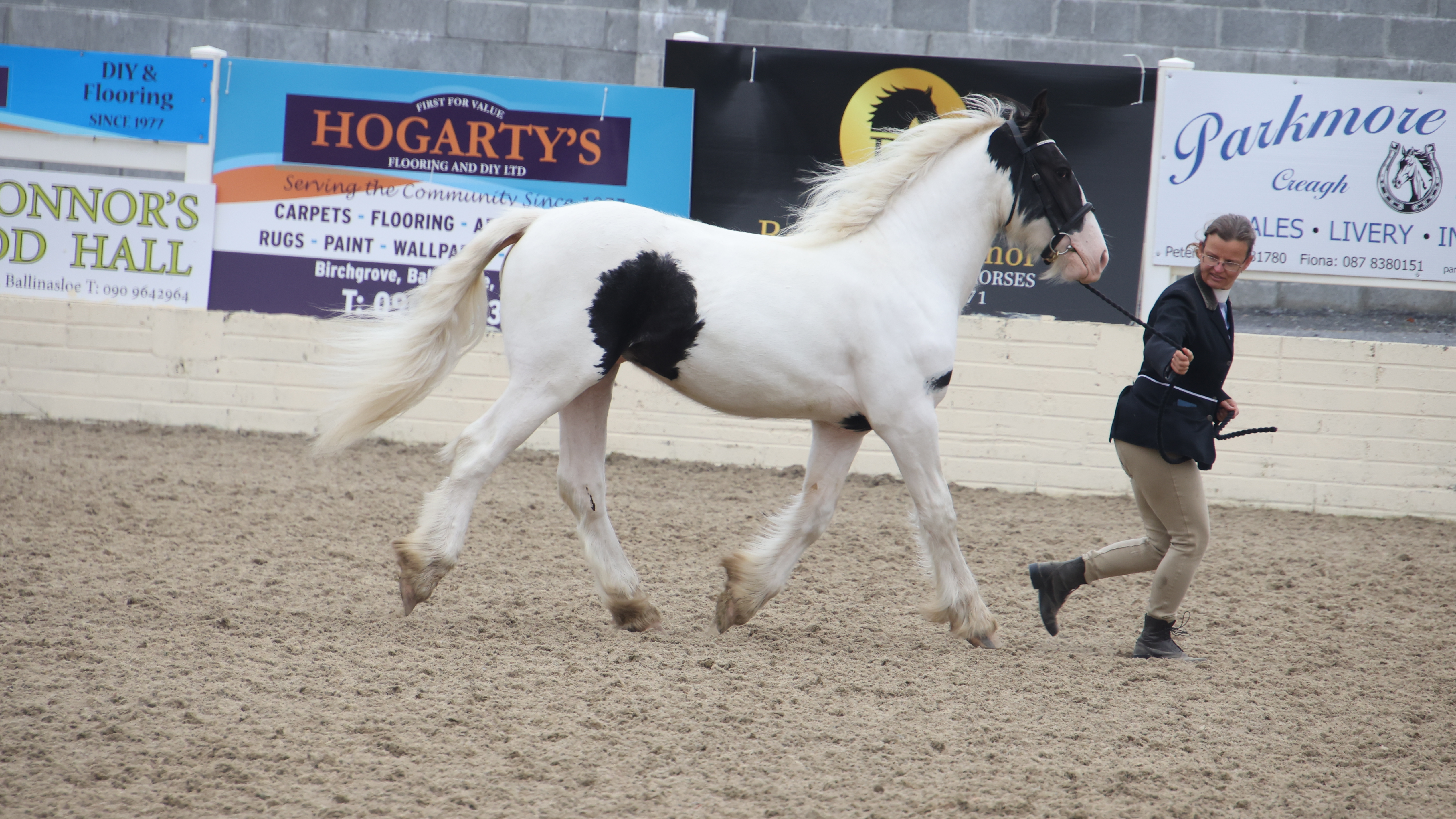 Mailo - Media (Unknown)