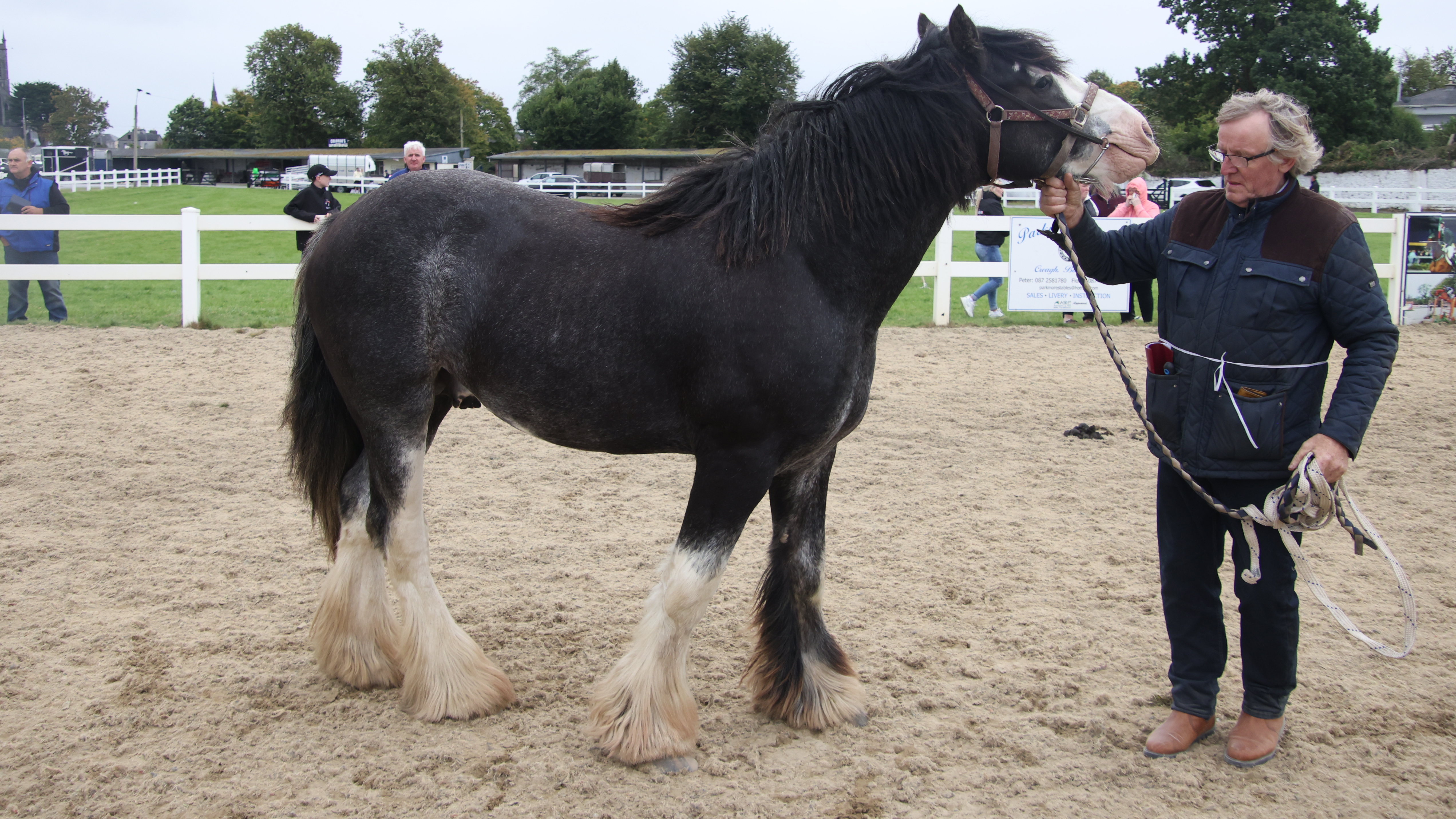 Mr Smokey - Media (Unknown)