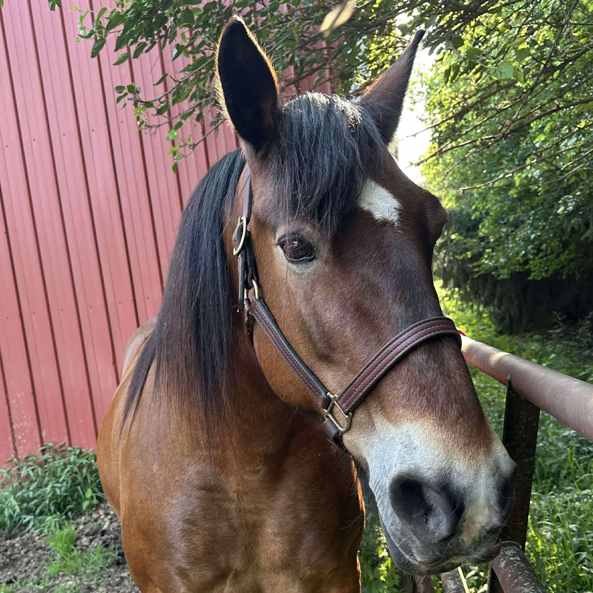 Carly Jo - Media (Unknown)