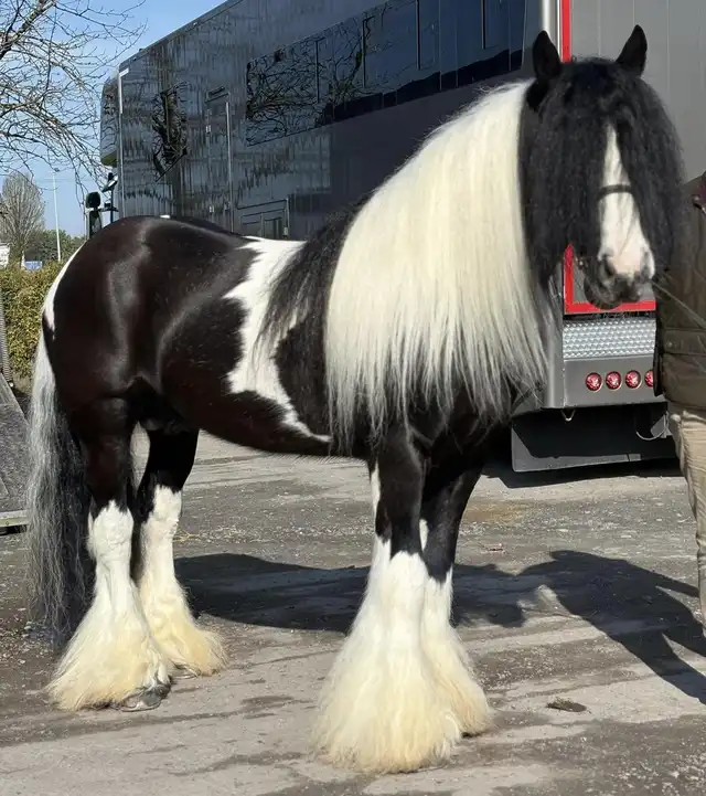 Leroy, right side