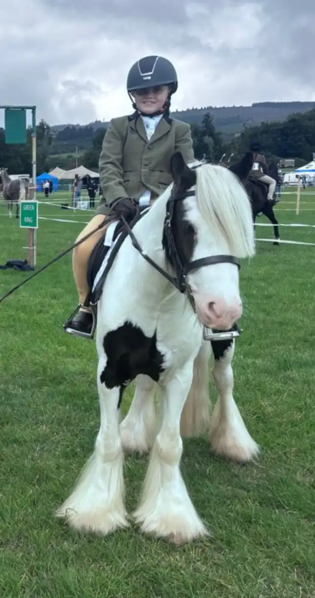 Ian Doherty Look Out Baby Cob - Media (Unknown)