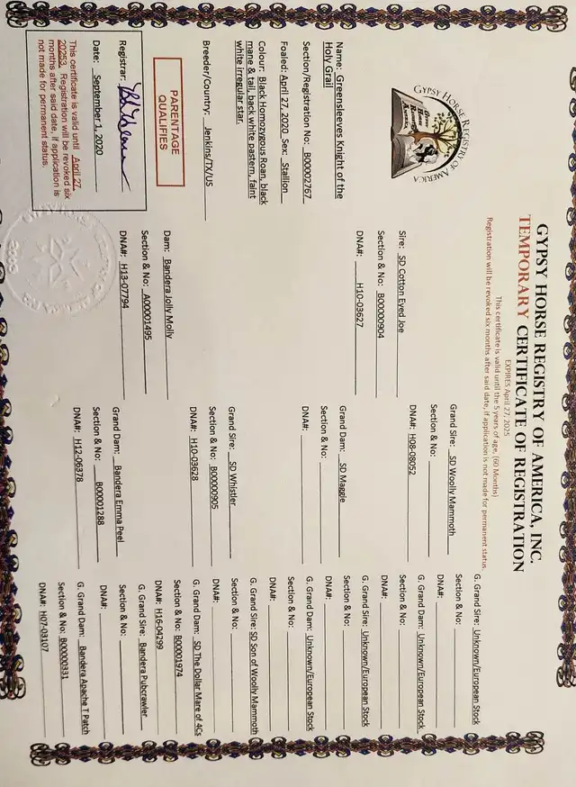 Registration Pedigree - Media (2189)