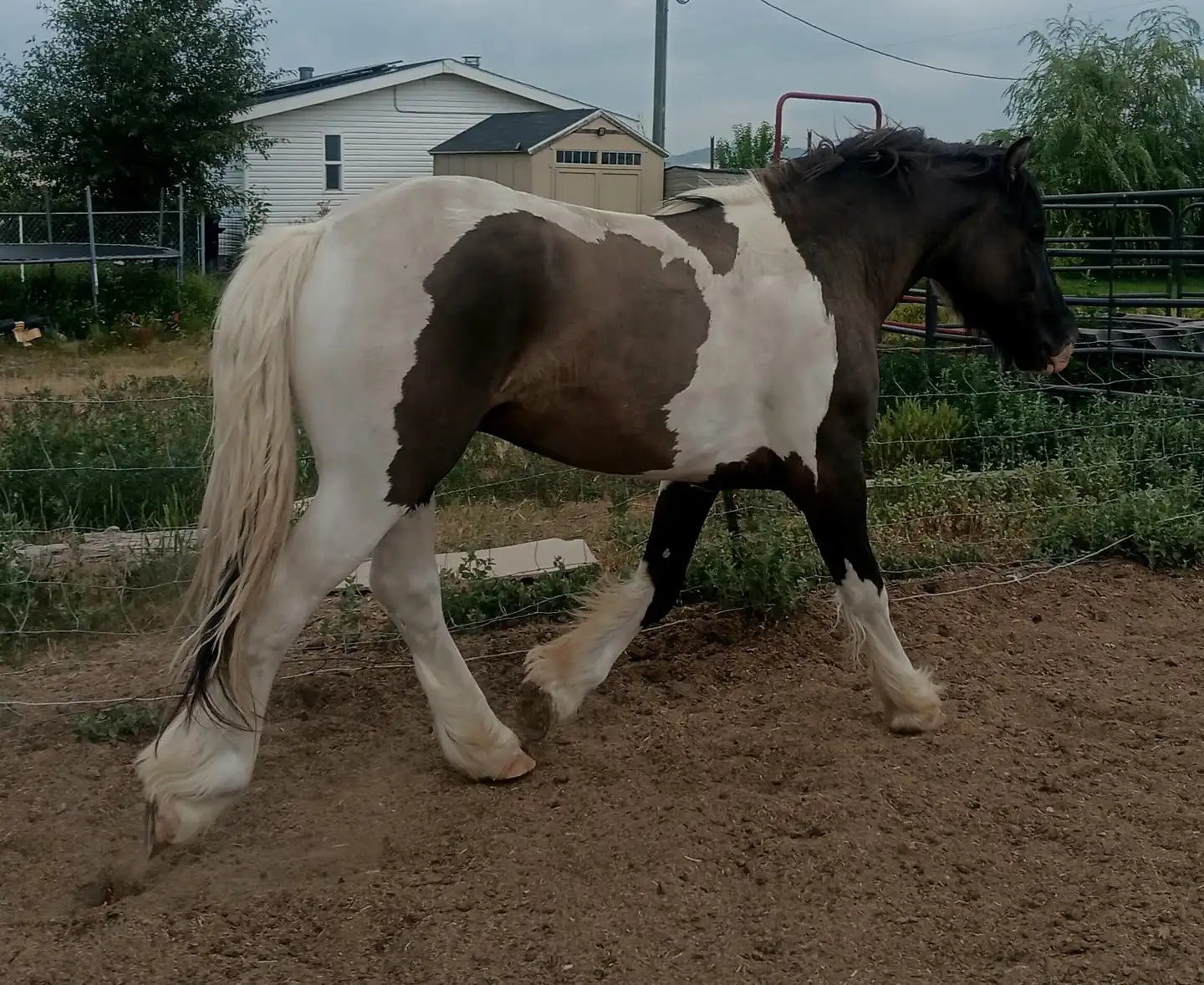 SAB Seven Days to Ragnarok - Media (Unknown)