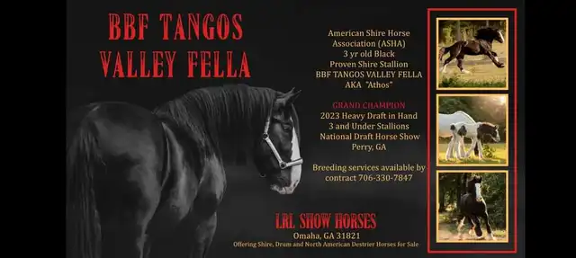 Verbal Pedigree - Media (1838)