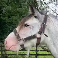 Cococubana Girl - Media (Unknown)