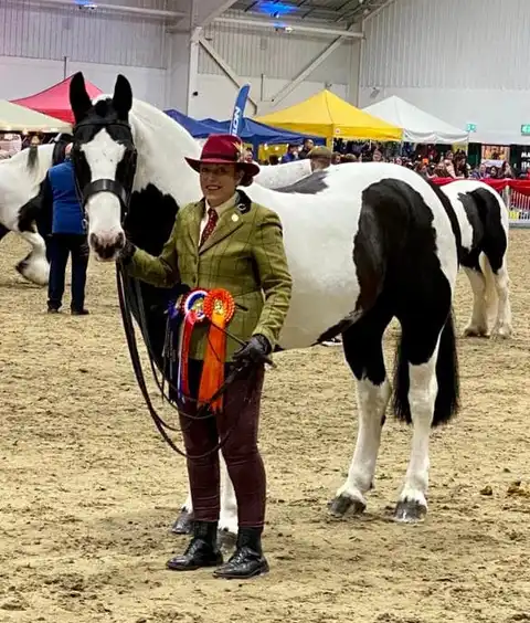 Orcaber Legacy - Media (Unknown)