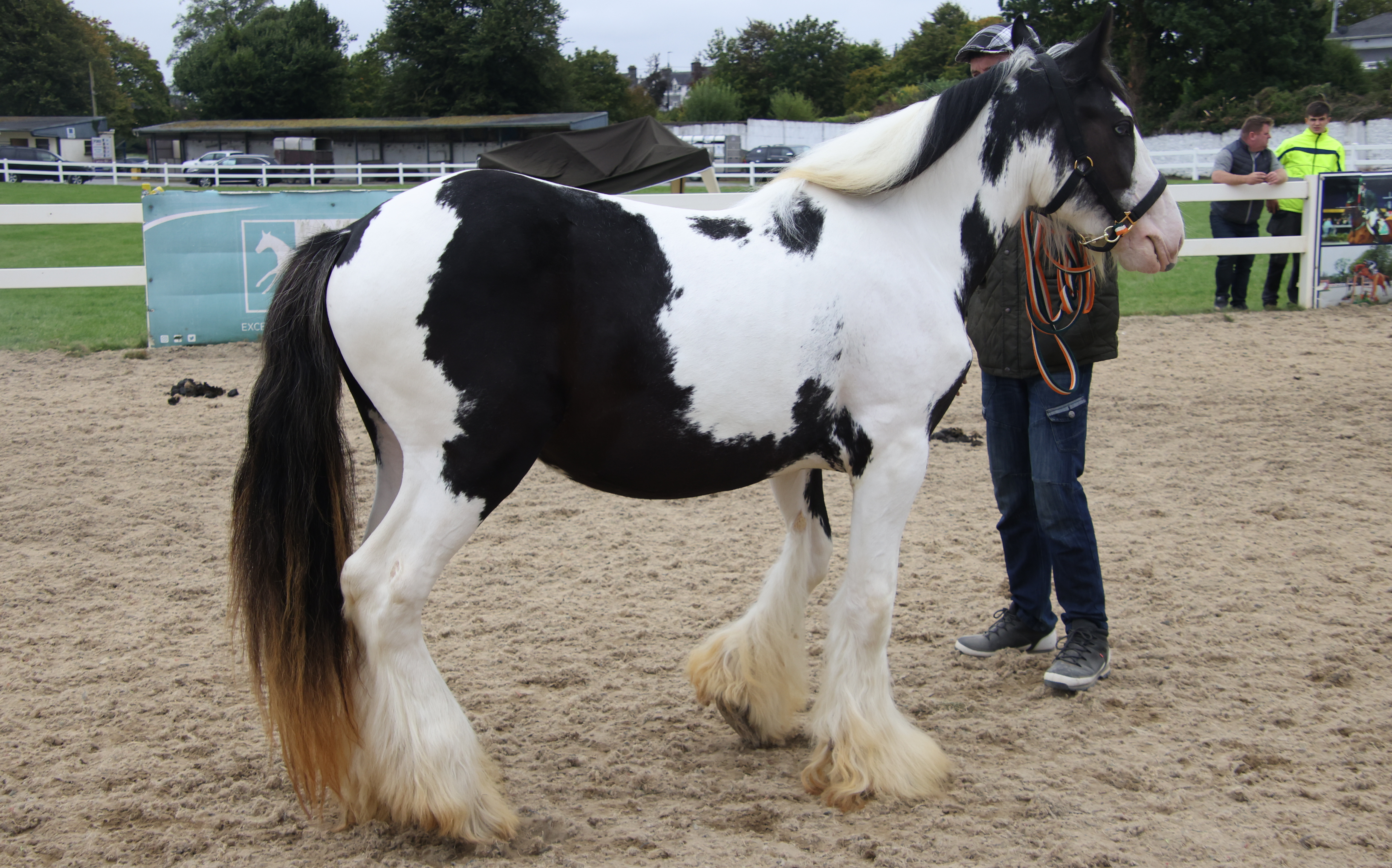 Shotgun - Media (Unknown)