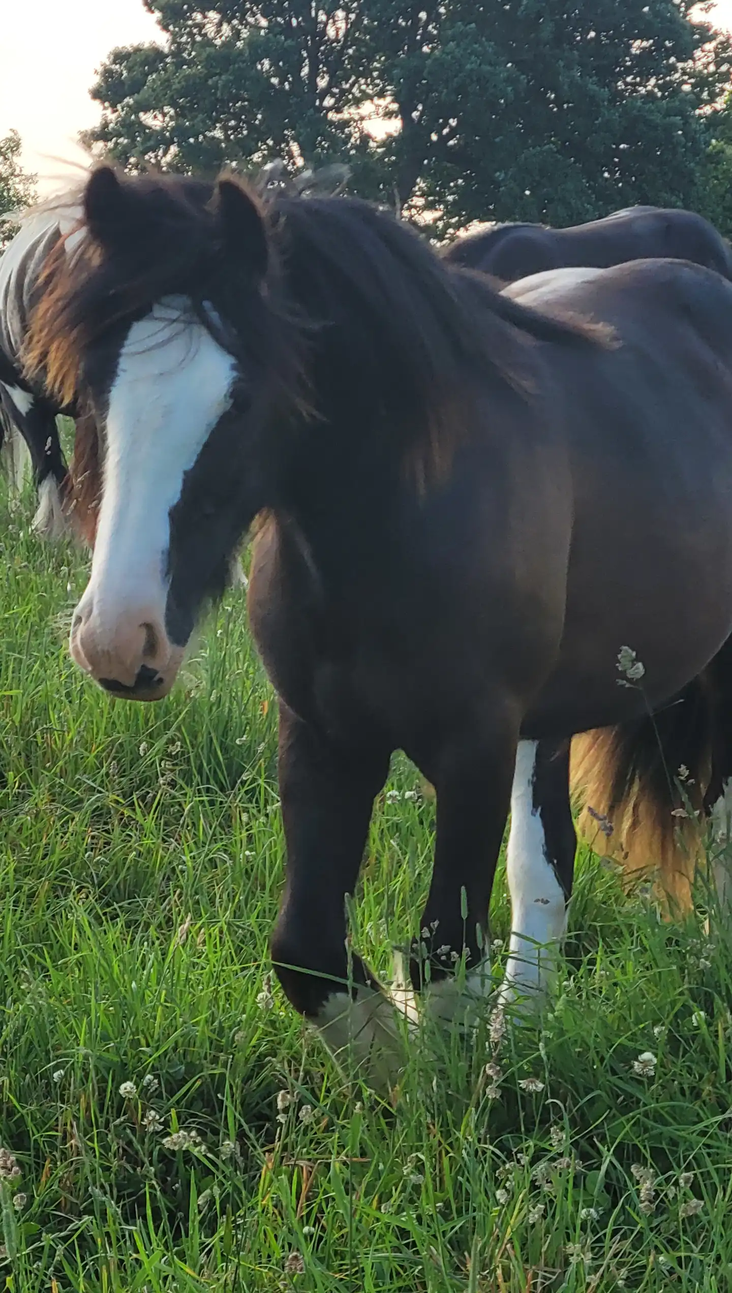 FTF In the Air Tonight - Media (Unknown)