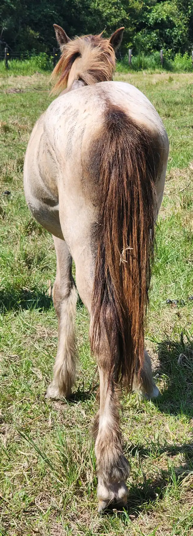 G.S. Cozy up - Media (Unknown)