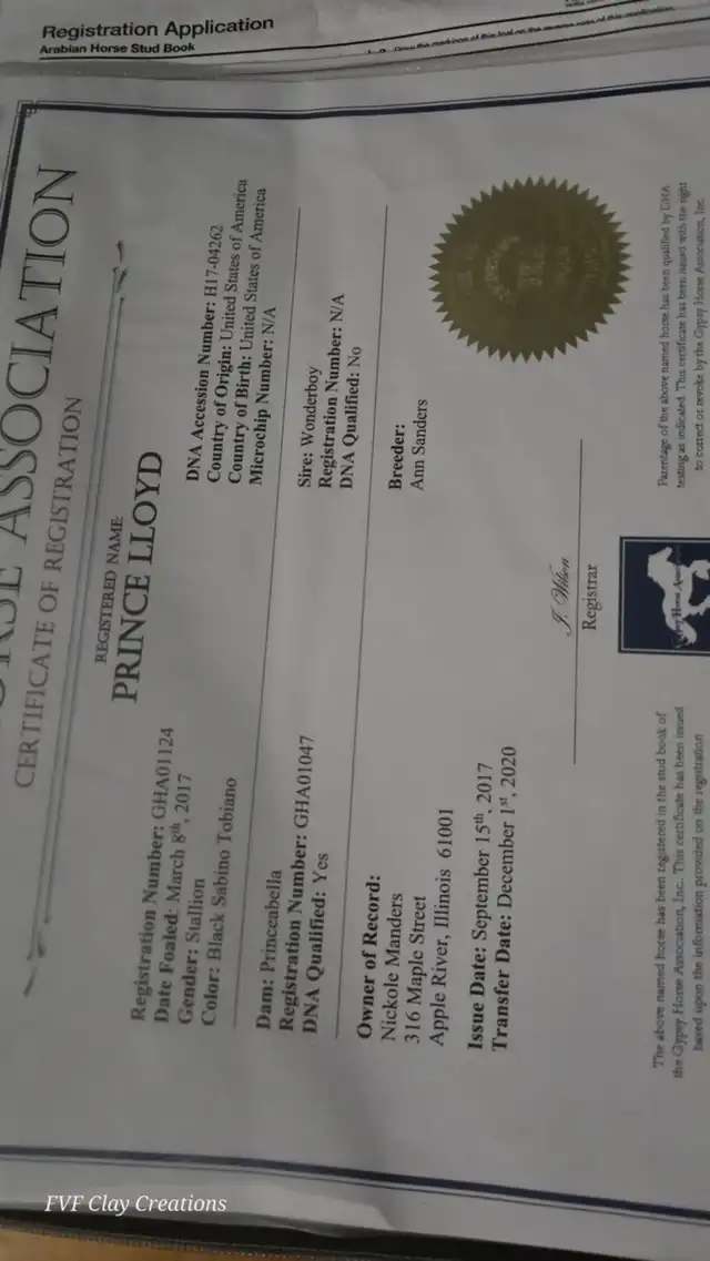 Registration Pedigree - Media (1829)