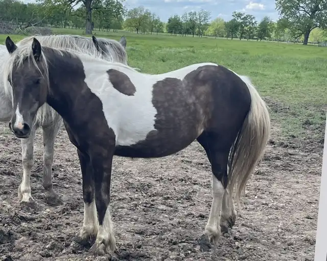 Kandee’s First Baby Girl - Media (Unknown)