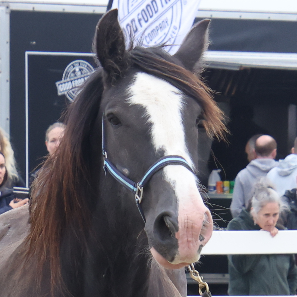 Betty - Media (Unknown)