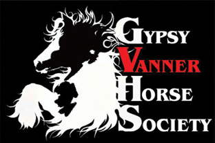 Gypsy Vanner Horse Society - Media (1467)