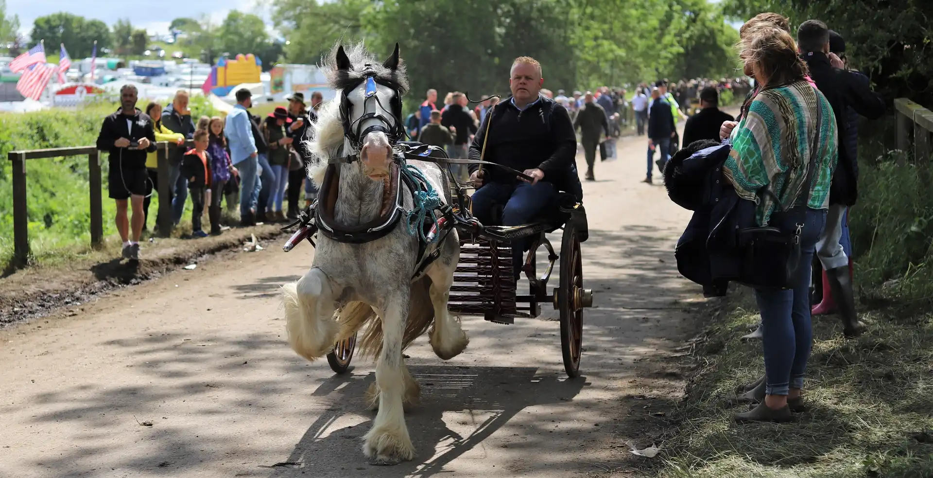 Stepping Cob