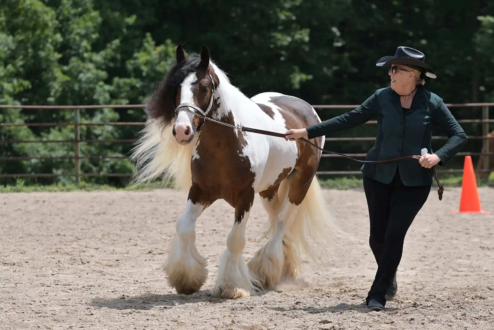 Fire Away - Media (Unknown)