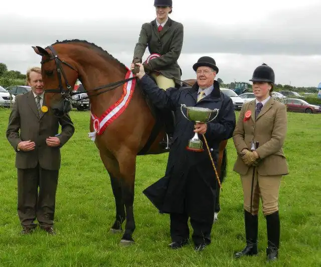 Ardrahan Agricultual Show - Media (1635)