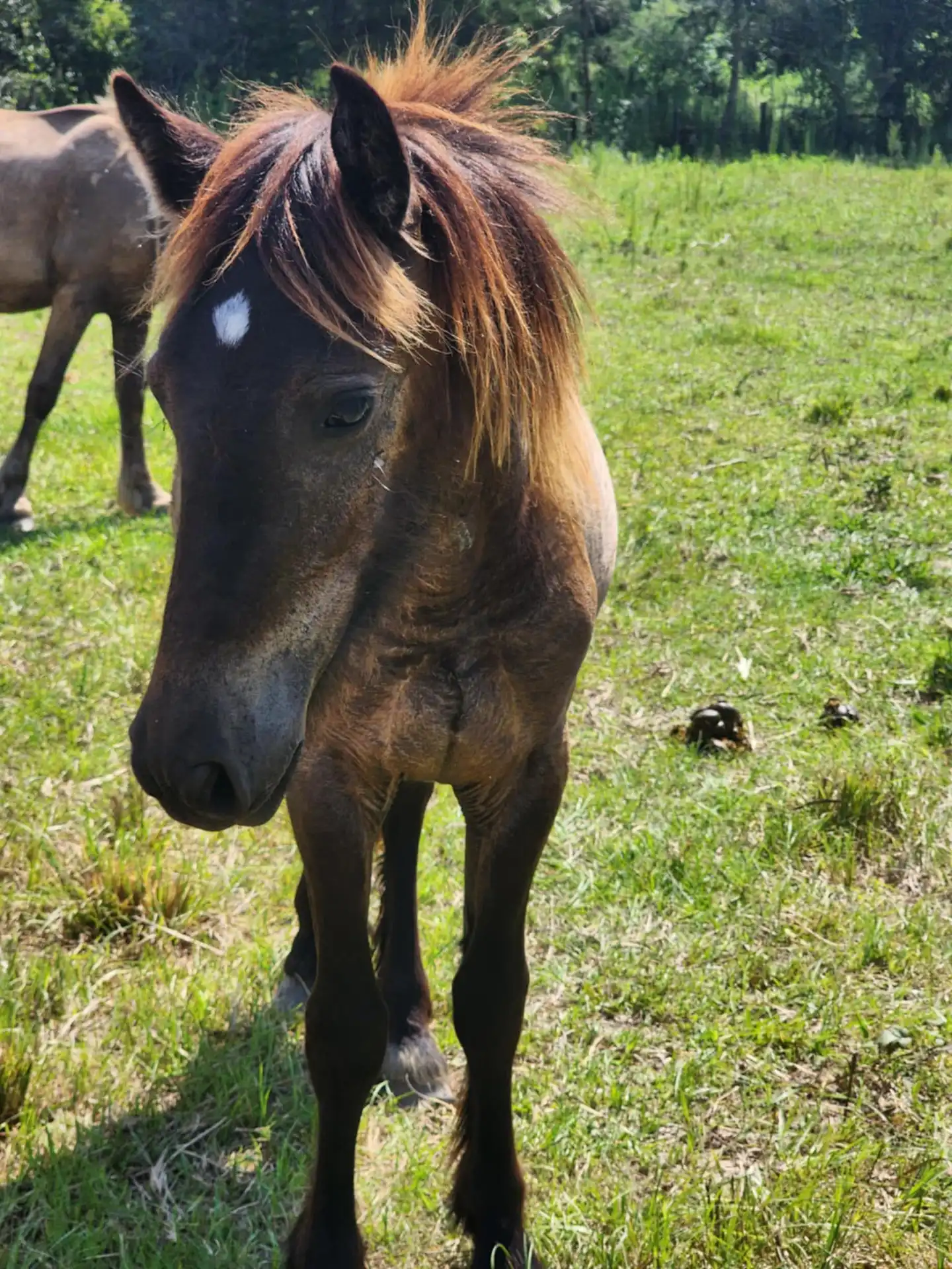 G.S. Zatara - Media (Unknown)