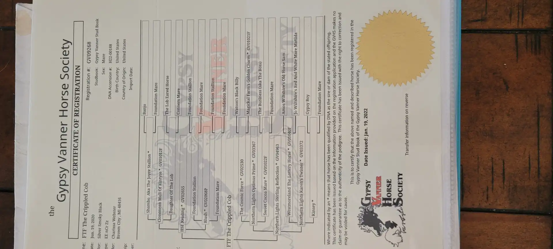 Registration Pedigree - Media (2015)