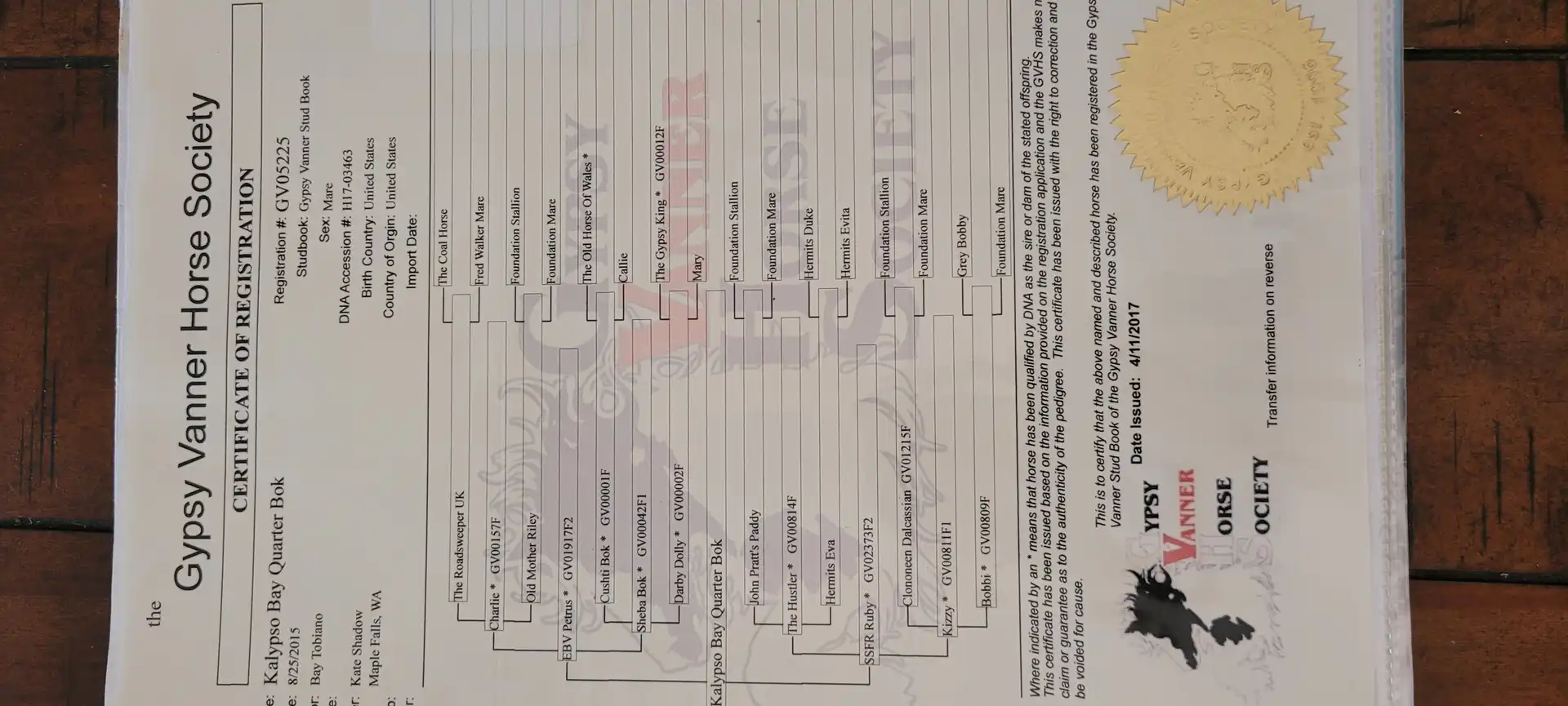 Registration Pedigree - Media (1999)