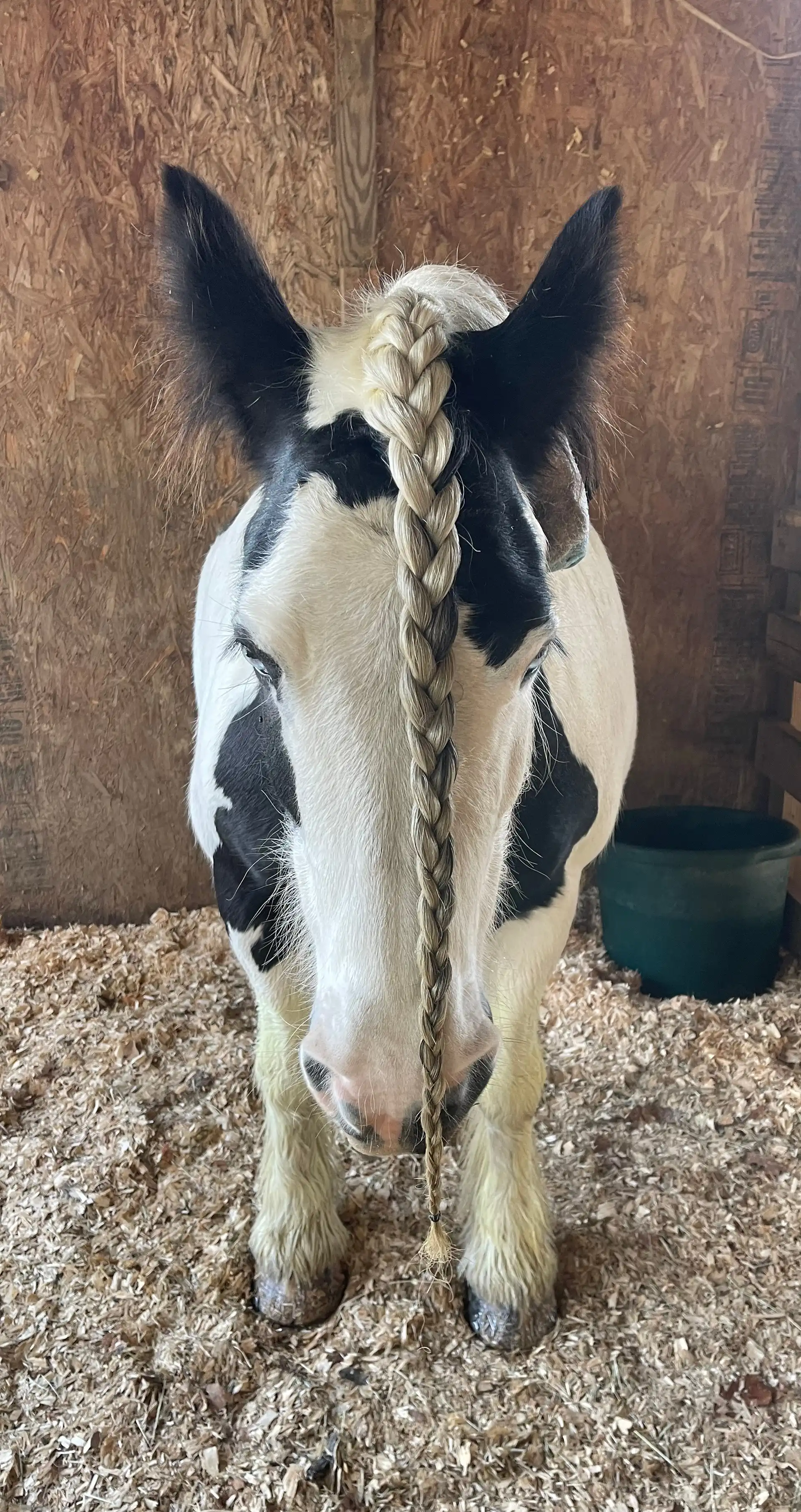 Westmoreland Hail Storm - Media (Unknown)
