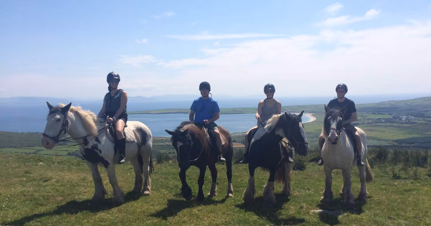 Longs Riding Centre - Media (407)