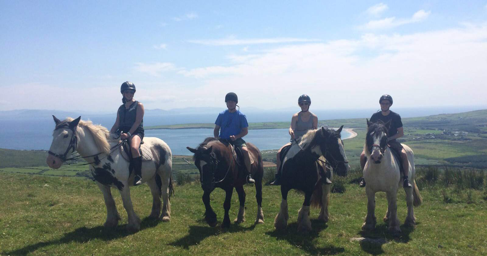 Longs Riding Centre - Media (407)