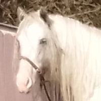 Tìr ná Nōg - Media (Unknown)