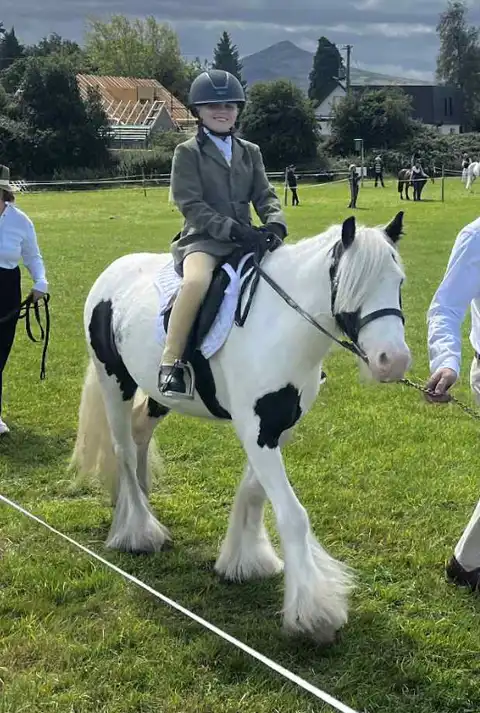 Ian Doherty Look Out Baby Cob - Media (Unknown)