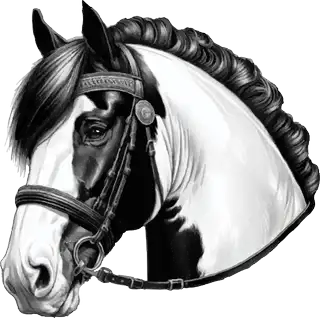 TCR Virtual Traditional Cob September Show 2025 - Media (2489)