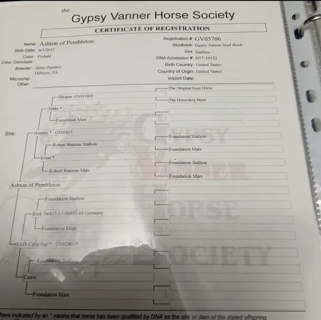 Registration Pedigree - Media (1805)
