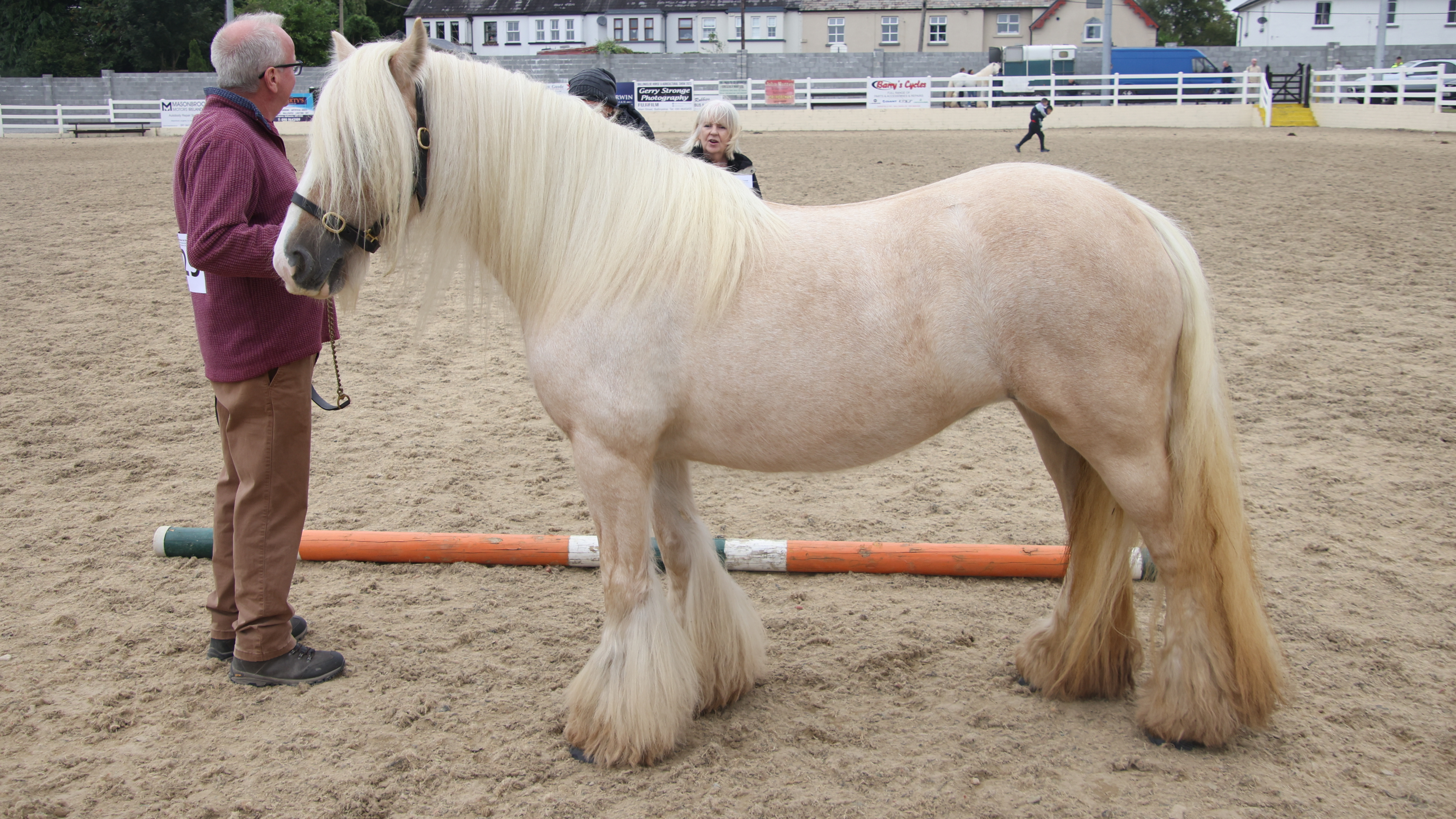 Blondie - Media (Unknown)